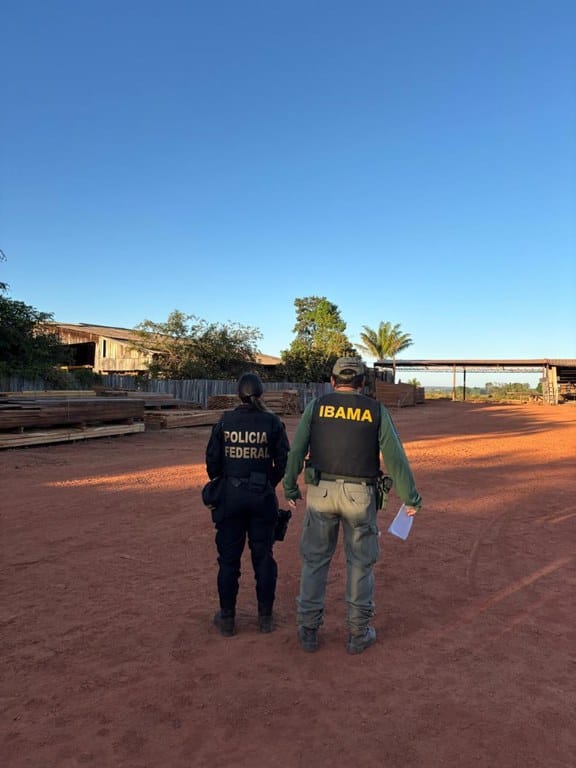 Polícia Federal desmonta esquema de desmatamento em Terra Indígena Myky