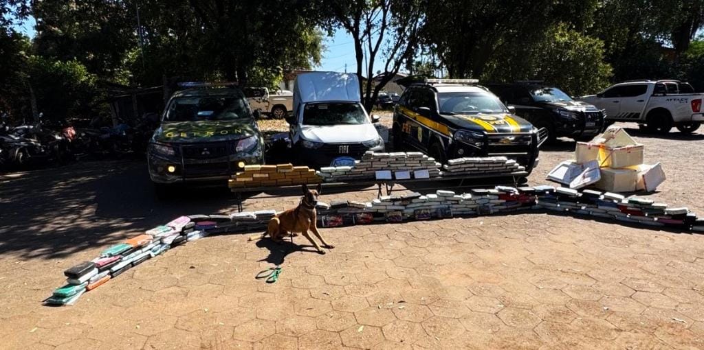 Gefron apreende mais de 1 tonelada de drogas e causa prejuízo de R$ 23,5 milhões as facções