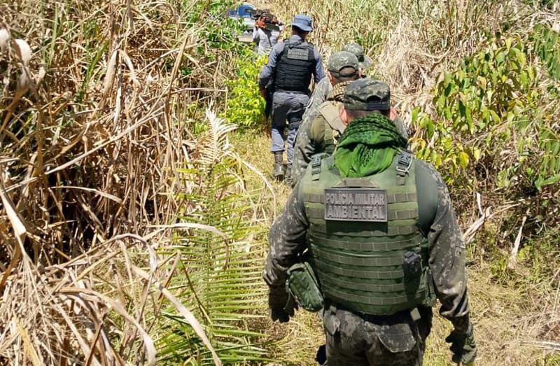 PM fecha área de desmatamento ilegal em fazenda e prende três homens em flagrante
