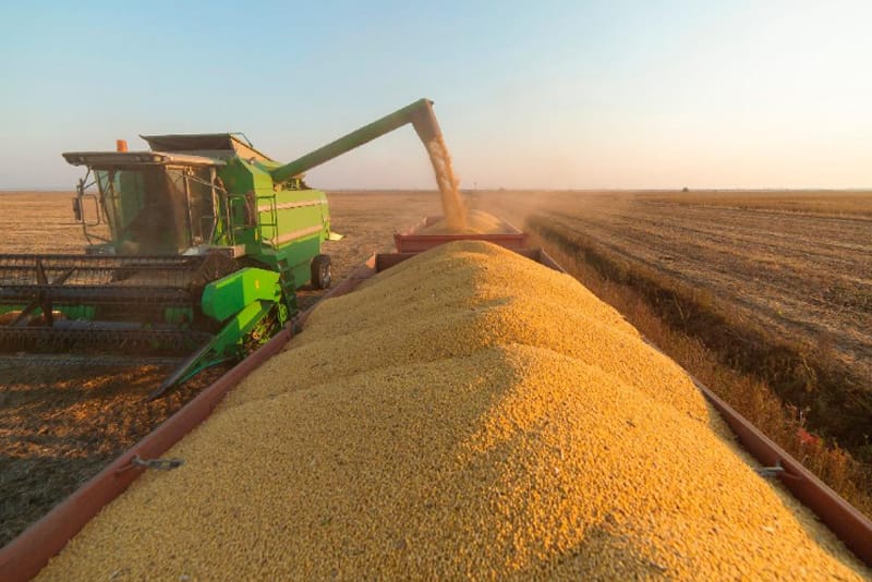 Justiça de Mato Grosso encerra recuperação judicial de produtores rurais em Sinop