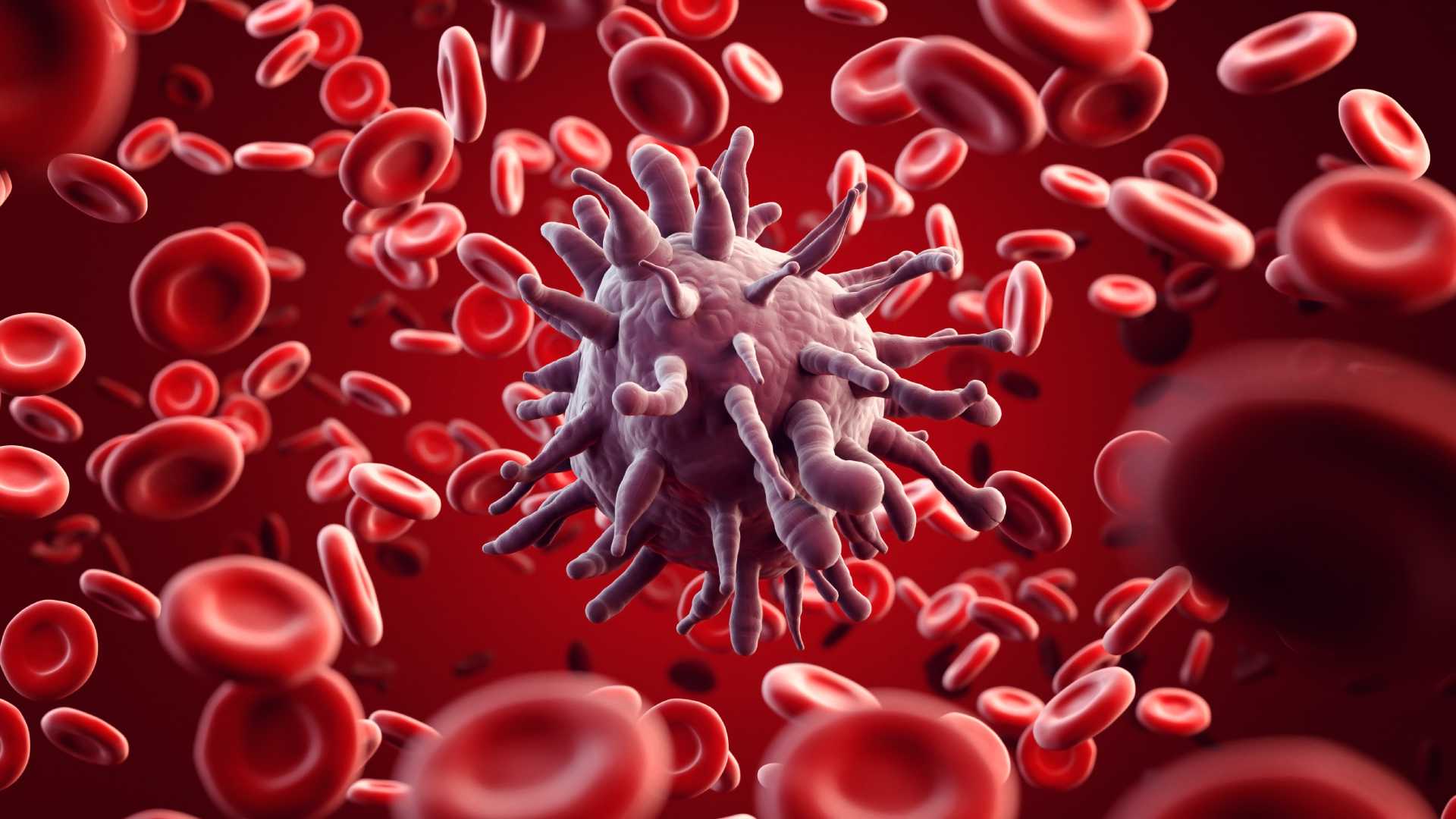 Dia Mundial de combate à Sepse: uma ameaça silenciosa que pode evoluir rápido