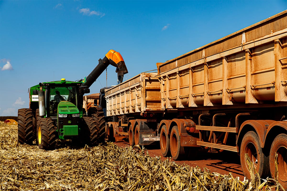 Mato Grosso finaliza colheita da 2ª safra de milho com recorde de produção