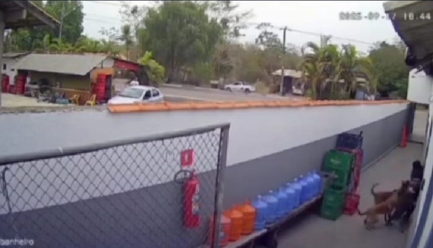 Funcionária é atacada por pitbull em distrito de Cuiabá