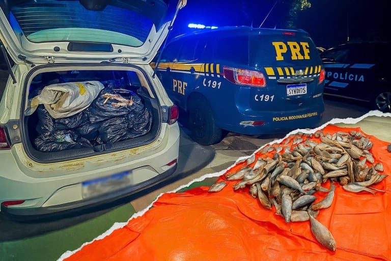 PRF apreende carga irregular de peixes e prende motorista em Várzea Grande