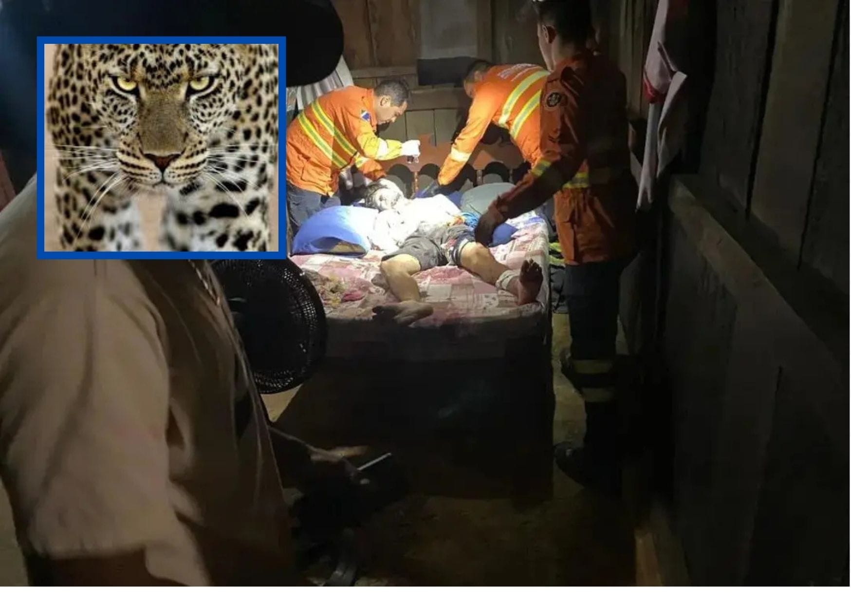 Peão é atacado por onça-pintada no Pantanal e resgatado por helicóptero do Exército