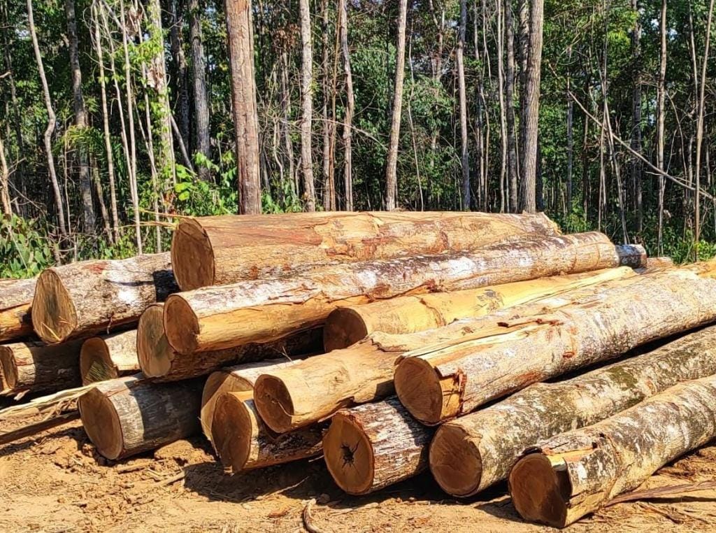 Sema apreende trator e toras de madeira ilegal durante ação em Marcelândia