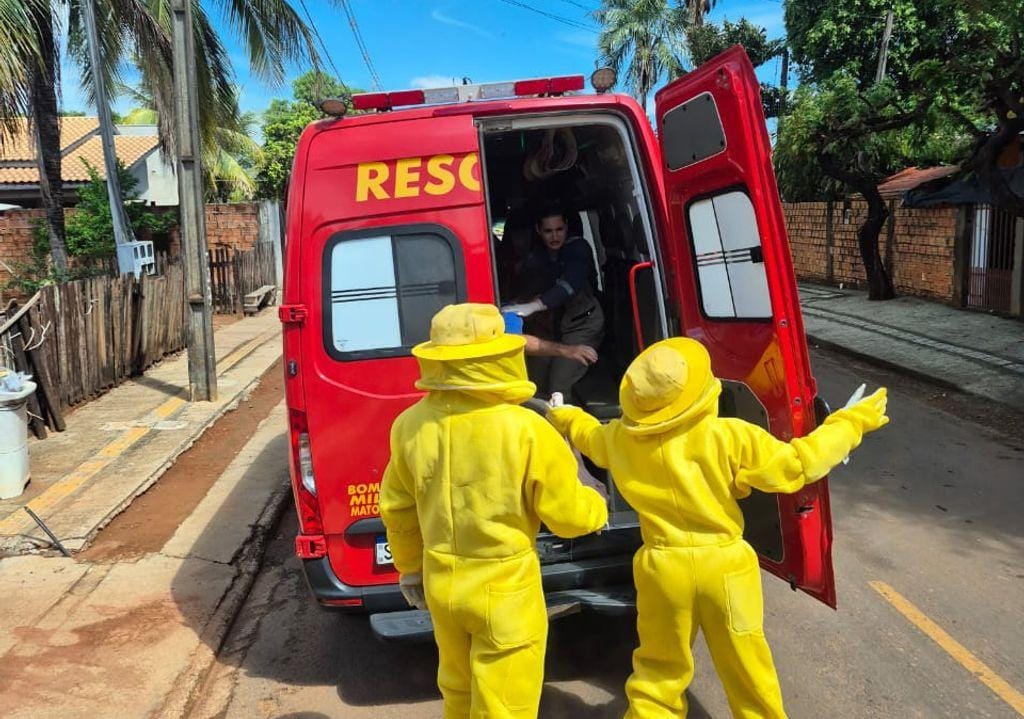 Corpo de Bombeiros socorre homem que foi atacado por enxame de abelhas