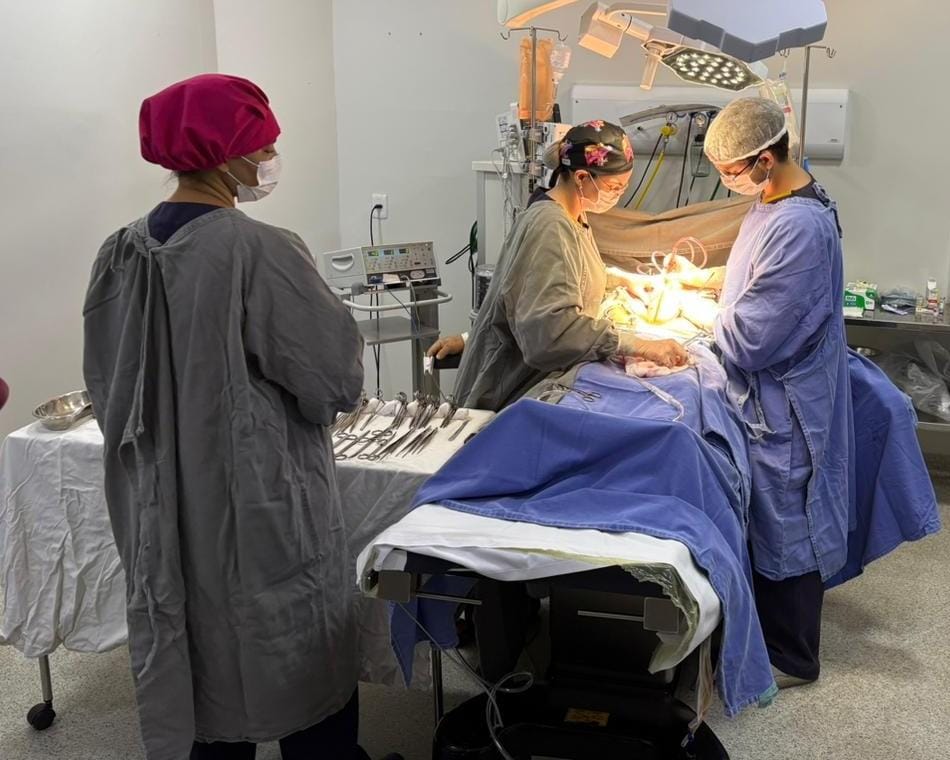 Central Estadual de Transplantes realiza 14ª captação de órgãos e ultrapassa número de 2024