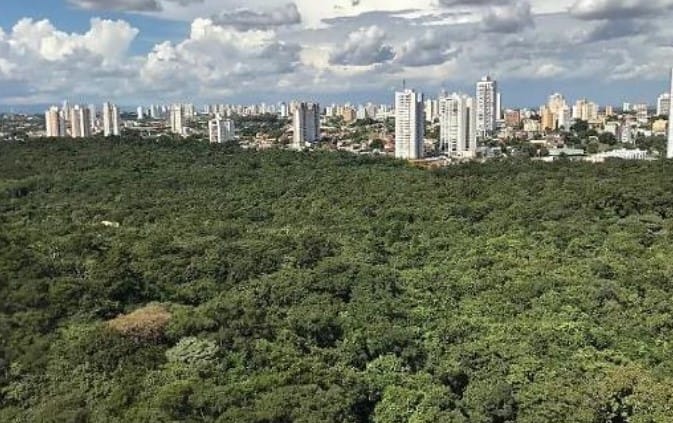 Justiça nega pedido de reintegração de posse de fazenda no sucuri à Damata