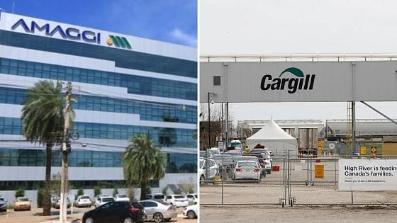 Cade investiga executivos da Amaggi, Cargill e ADM por suspeita de cartel