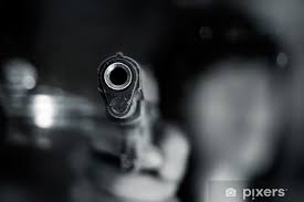 Mãe atira na própria filha após discussão em chácara no interior de MT