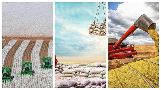 Mato Grosso lidera pedidos de recuperação judicial no agronegócio no terceiro trimestre