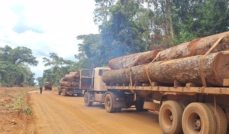 Polícia Militar apreende mais de 103 m³ de madeira ilegal perto de área protegida em MT