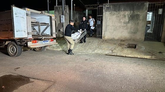 Idosa é atacada por cachorro e morre após cair no quintal de casa; vídeo mostra ataque