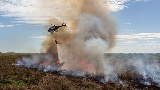 Justiça bloqueia R$ 40 milhões de fazendeiros por desmatamento ilegal no Piauí e MT