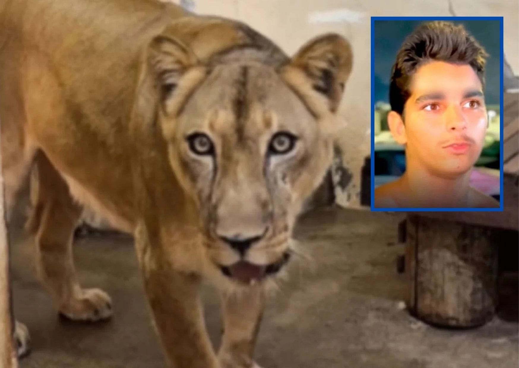 Laudo do IML confirma causa da morte de jovem atacado por leoa em João Pessoa