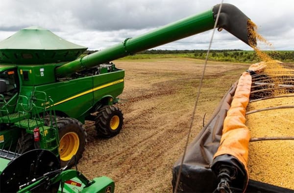 Governo de MT regulamenta decreto sobre moratória da soja e concessão de incentivos