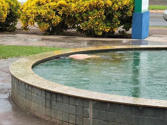 Corpo é achado em chafariz de praça em MT; identidade da vítima não foi confirmada