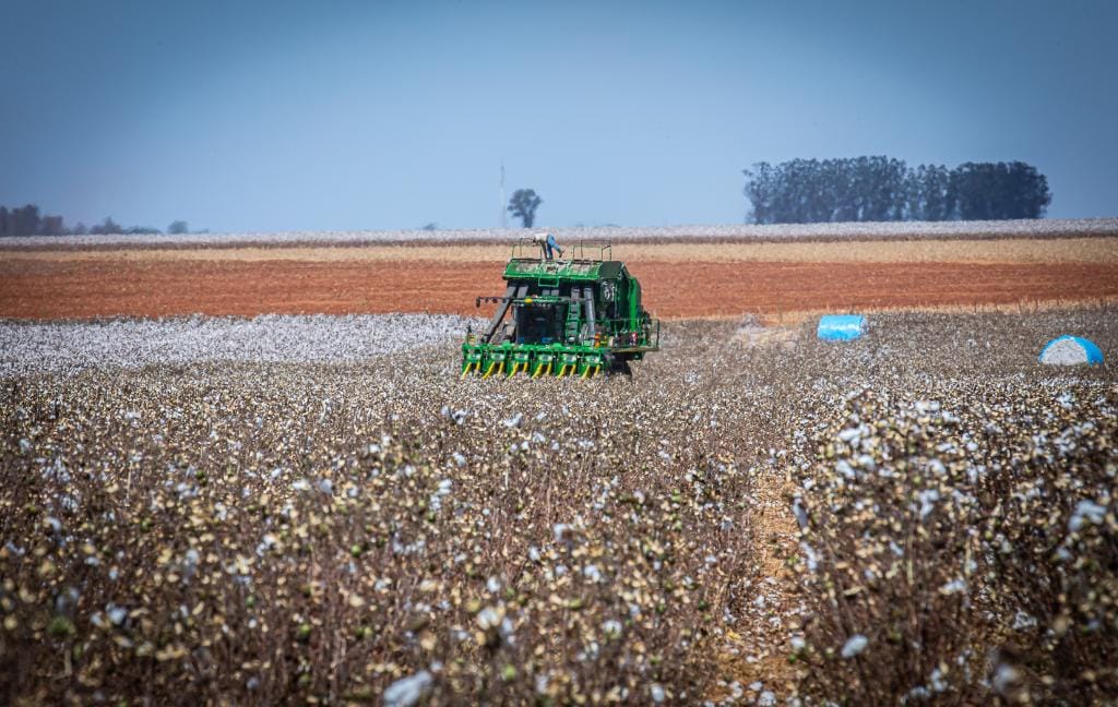 Governo de MT prorroga diferimento do ICMS para fertilizantes e mantém benefício