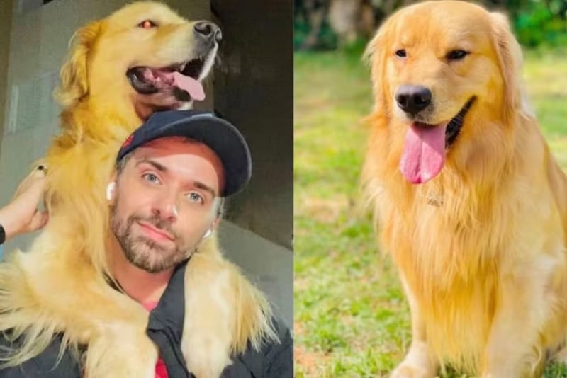 Justiça reconhece legitimidade da Defensoria Pública em ação coletiva contra companhia aérea