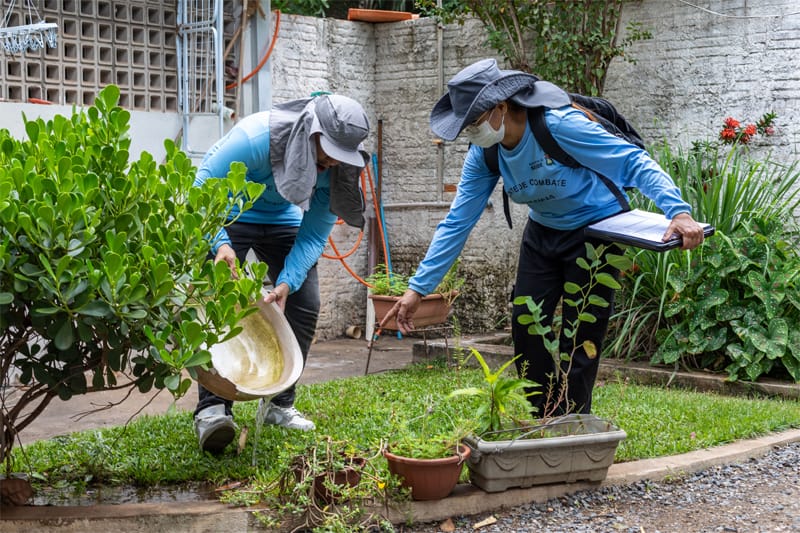 Cuiabá registra queda de 93,5% nos casos de dengue e chikungunya no início de 2026