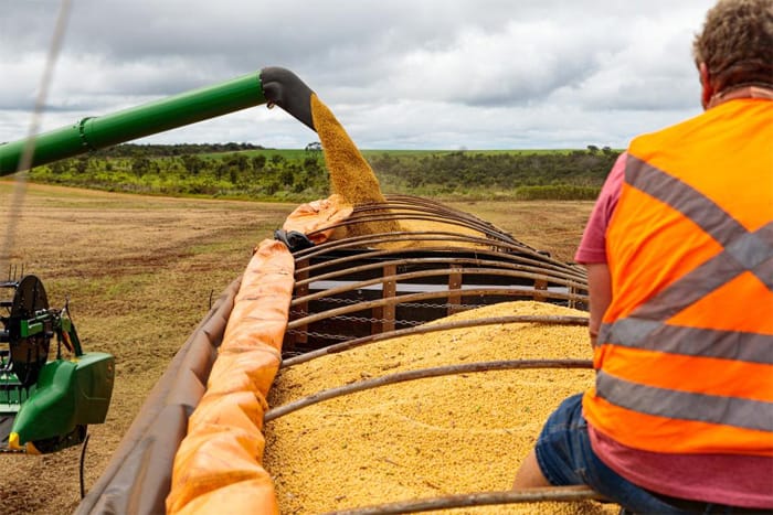 Mato Grosso fecha 2025 como o 4º maior exportador brasileiro; Estado exportou US$ 30 bilhões