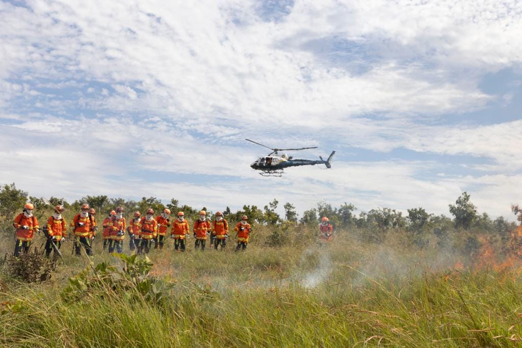 Queimadas ilegais geram R$ 360 milhões em multas em Mato Grosso