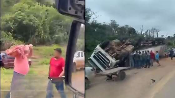 Multidão saqueia carga de carne após caminhão tombar na MT-235 em Campo Novo do Parecis