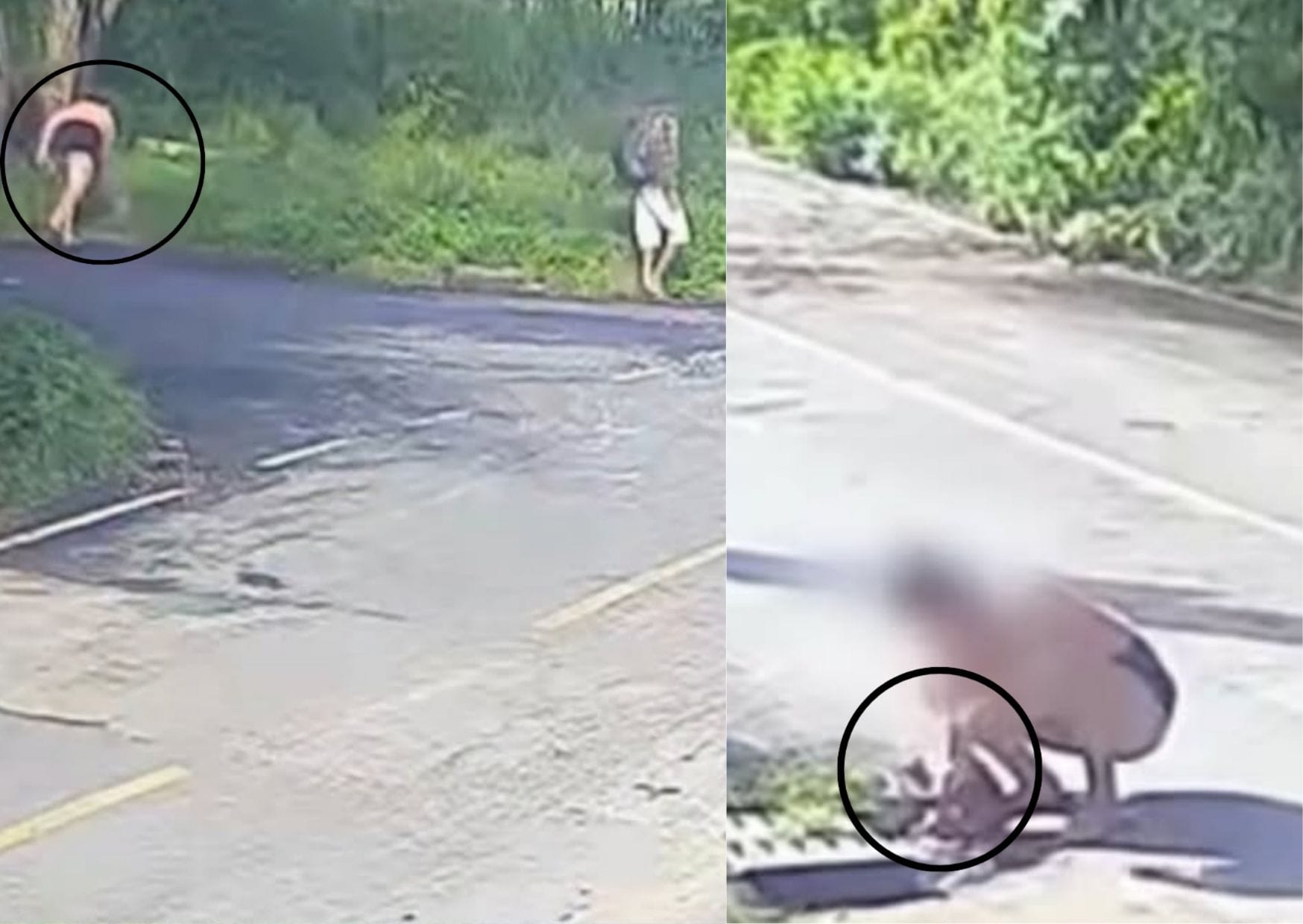 PM encontra bebê abandonada após mãe tentar deixá‑la em mata e dentro de bueiro