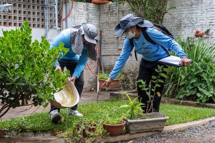 Cuiabá registra queda expressiva nos casos de Dengue e Chikungunya