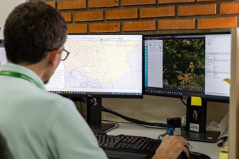 Levantamento aponta redução em 50% das áreas sob alerta de desmatamento nos últimos 10 anos