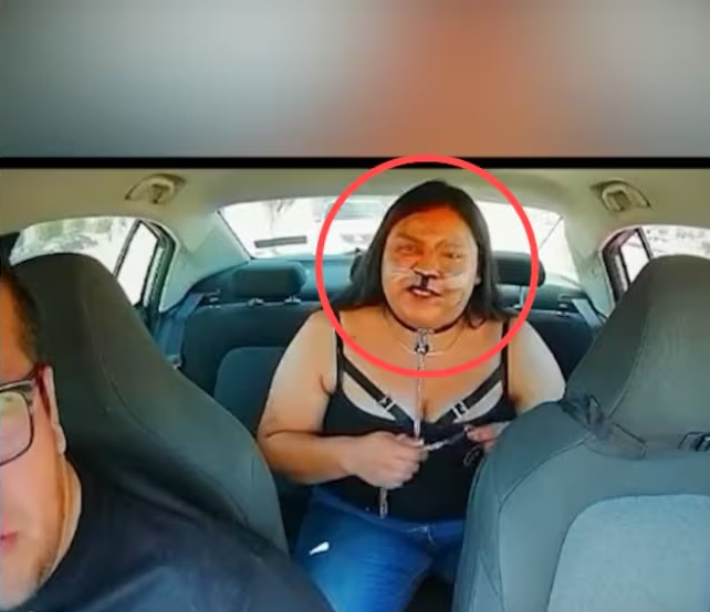 Passageira que se identificou como ‘therian’ é dispensada de veículo de app por política de não aceitar animais