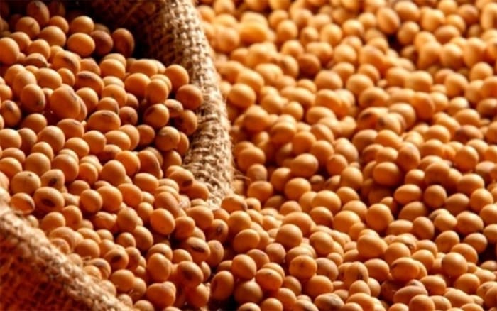 Criminosos que roubaram mais de R$ 700 mil em soja no interior de MT são presos em flagrante