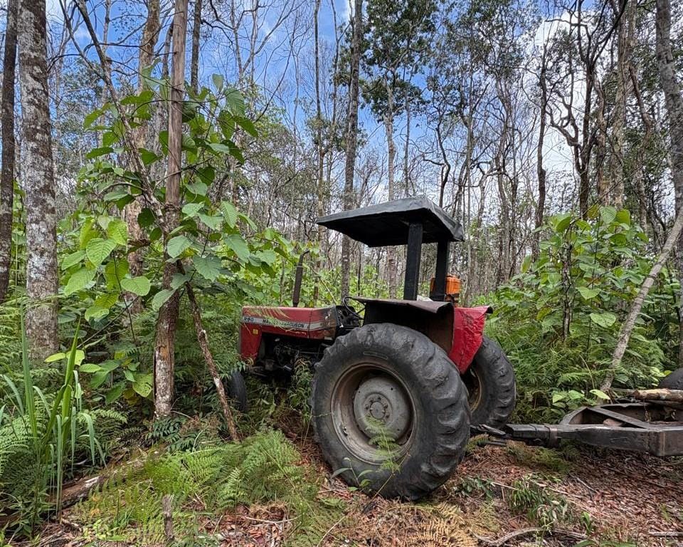 Força-tarefa desmonta estrutura de extração ilegal de madeira em área de reserva