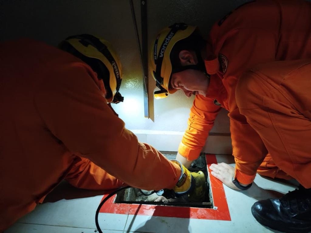 Após dois dias de miados, bombeiros resgatam gato preso em concreto
