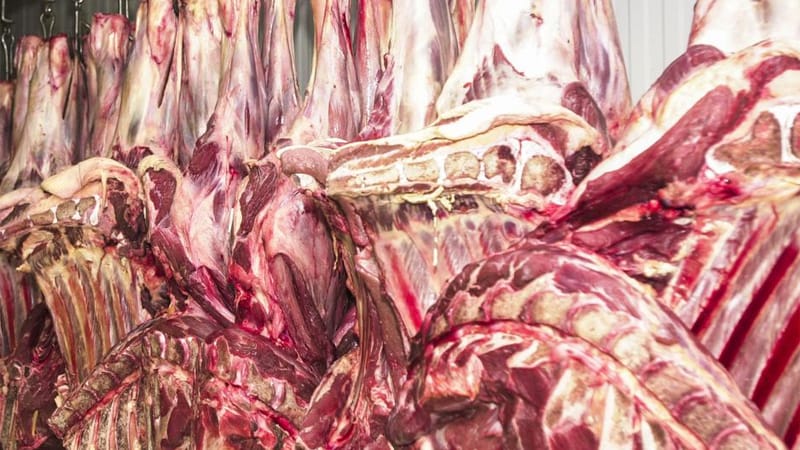 Carga de 32 toneladas de carne bovina avaliada em R$ 1 milhão é apreendida em Várzea Grande