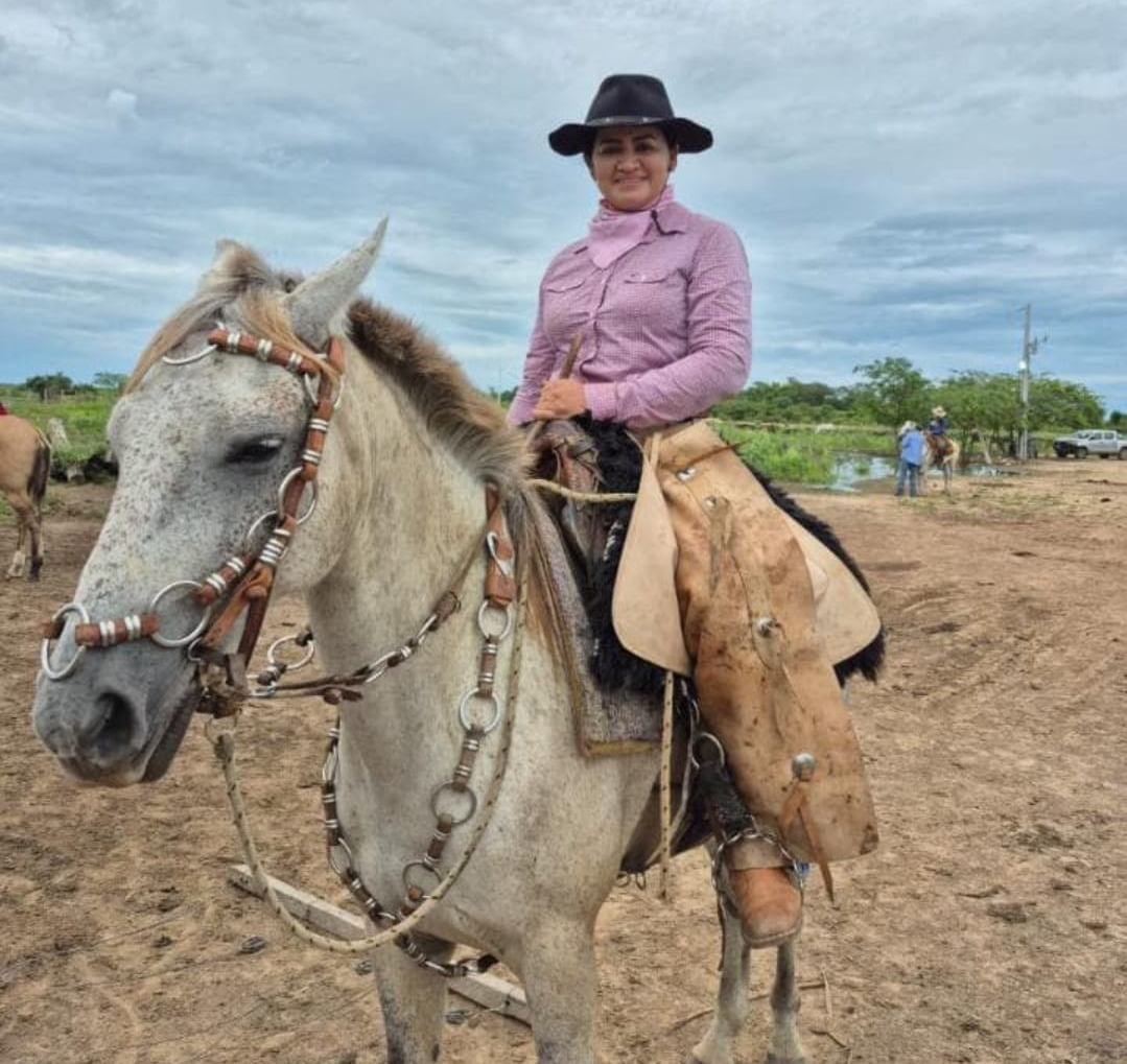 Ataque de abelhas mata mulher em hotel na Transpantaneira, no Pantanal de MT