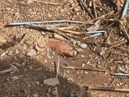 Corpo é achado em cova rasa com indícios de 'salve'; seis suspeitos são detidos