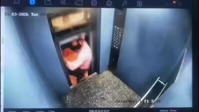 Homem escapa por pouco de ser esmagado por elevador que se moveu com portas abertas