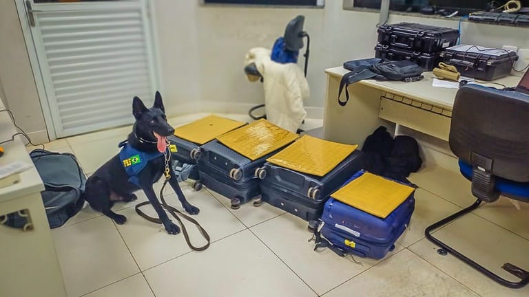 Faro certeiro: cães da PRF descobrem 21 kg de cocaína escondidos em ônibus na BR-364
