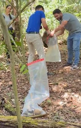 Ossada é encontrada em área de mata por trabalhadores no interior de MT; veja vídeo