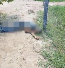 Ex-candidato a vereador de MT com histórico de crime aéreo é morto a tiros na Bolívia