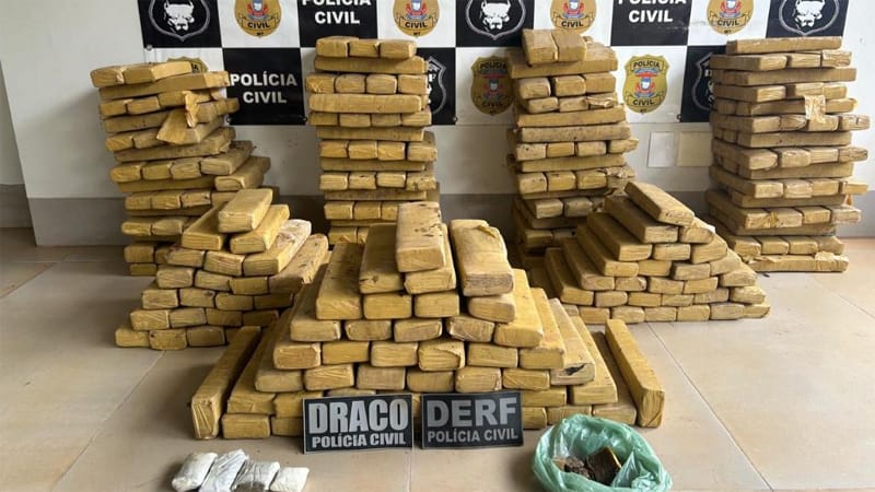 PJC prende faccionado e apreende 305 tabletes de maconha enterrados nos fundos de imóvel