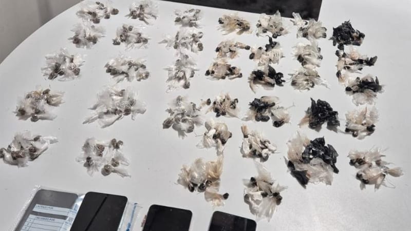 Operação visa combater crimes praticados por membros de facção; ordem vinha de dentro da PCE