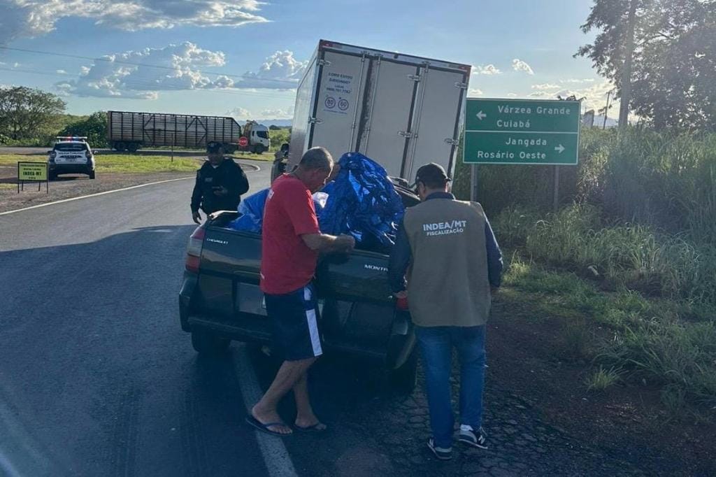 Fiscalização visa coibir venda de pescado de estabelecimentos não registrados