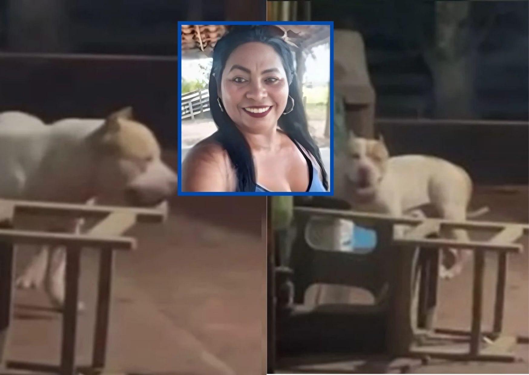 Morte após ataque de pitbull levanta dúvidas e pode ter reviravolta no Maranhão