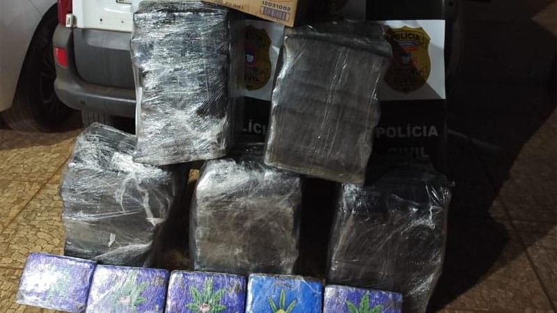 PJC apreende 178 tabletes de maconha e desarticula esquema de distribuição de drogas