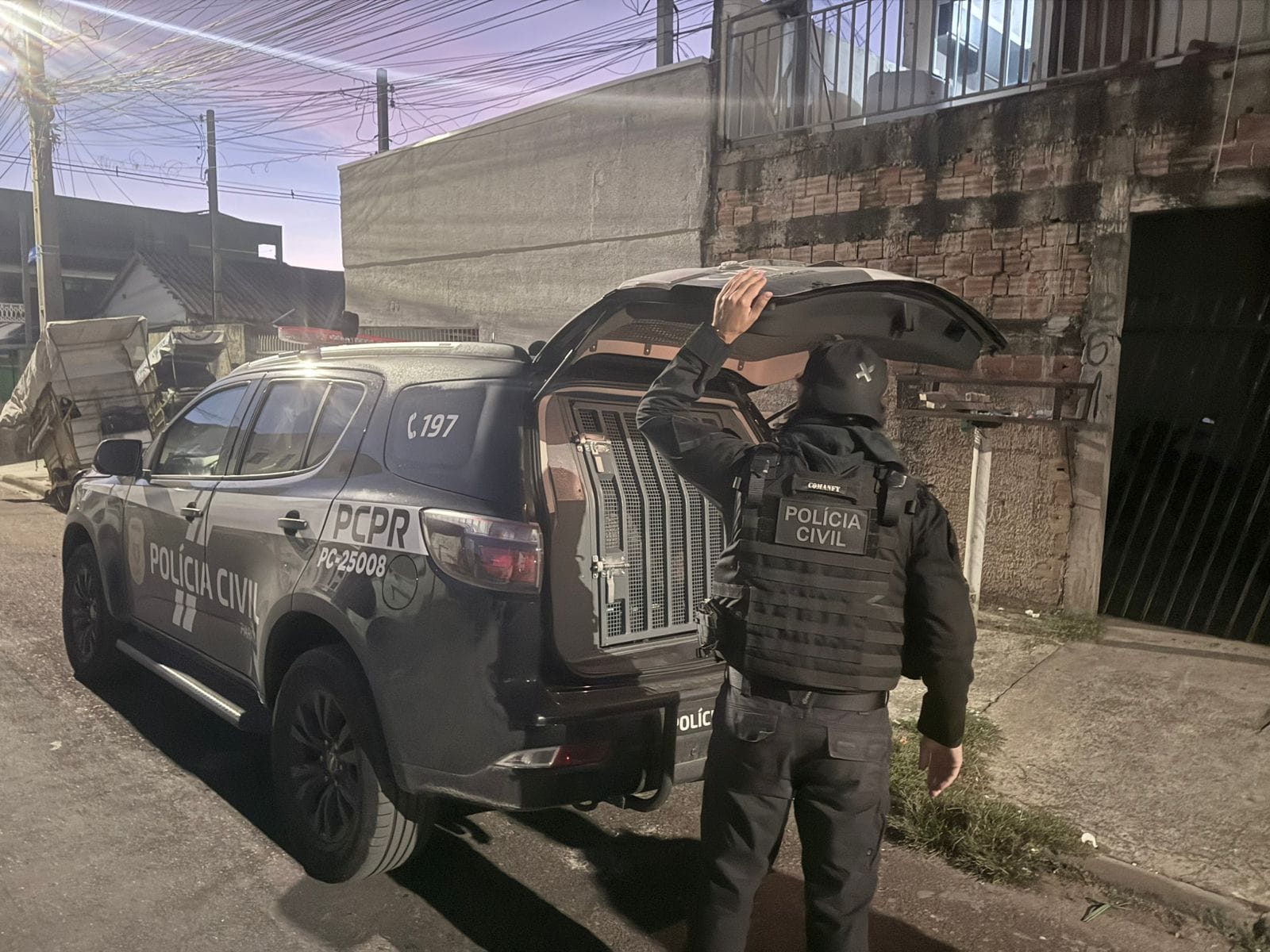 "Associação criminosa adulterava fertilizantes durante transporte", revela delegado