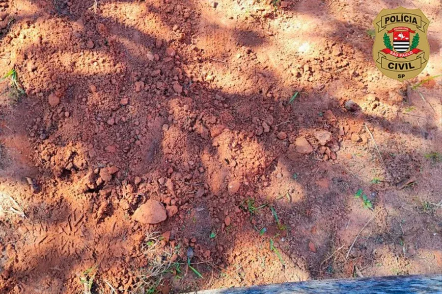 Casal é detido após polícia encontrar corpo de recém-nascido sendo queimado em quintal