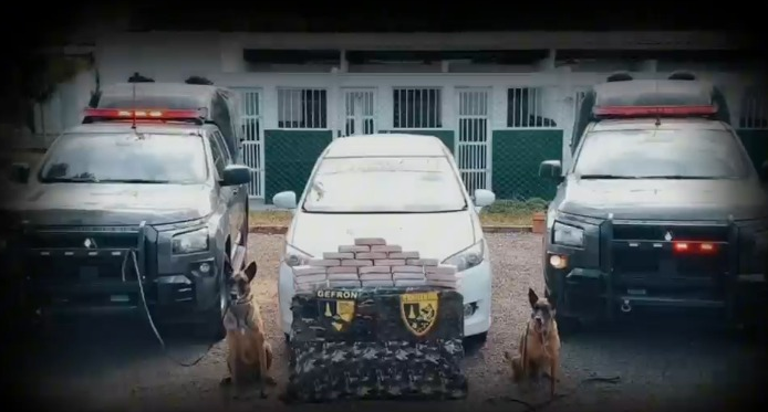 Cães farejadores do Gefron encontram cocaína escondida em táxi boliviano na fronteira de MT